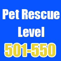 pet-rescue-501